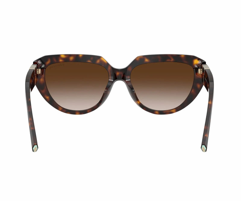 Tiffany & Co._Sunglasses_4238U_8015/3B_55_00