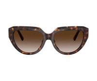 Tiffany & Co._Sunglasses_4238U_8015/3B_55_0 view 2
