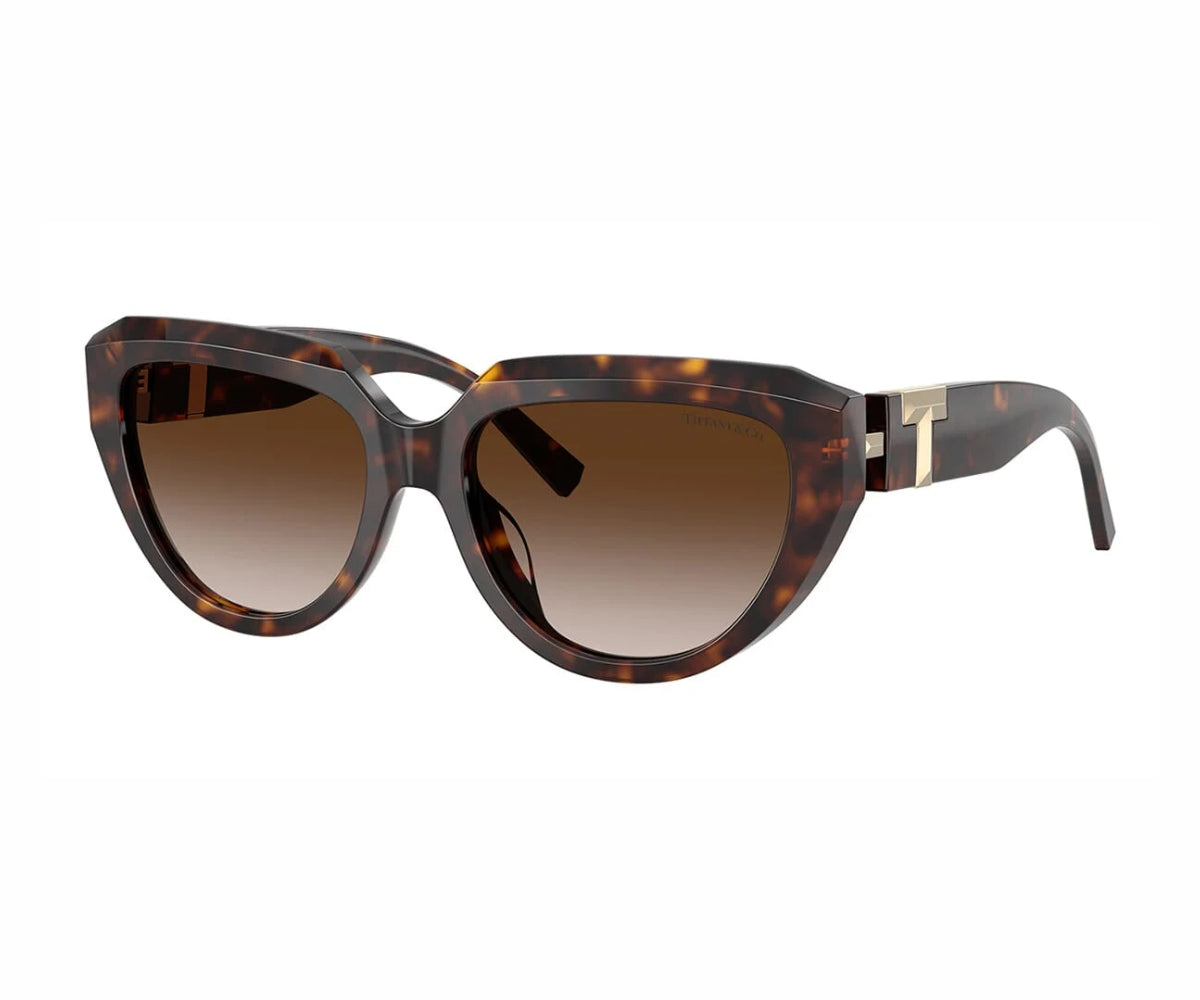 Tiffany & Co._Sunglasses_4238U_8015/3B_55_3045
