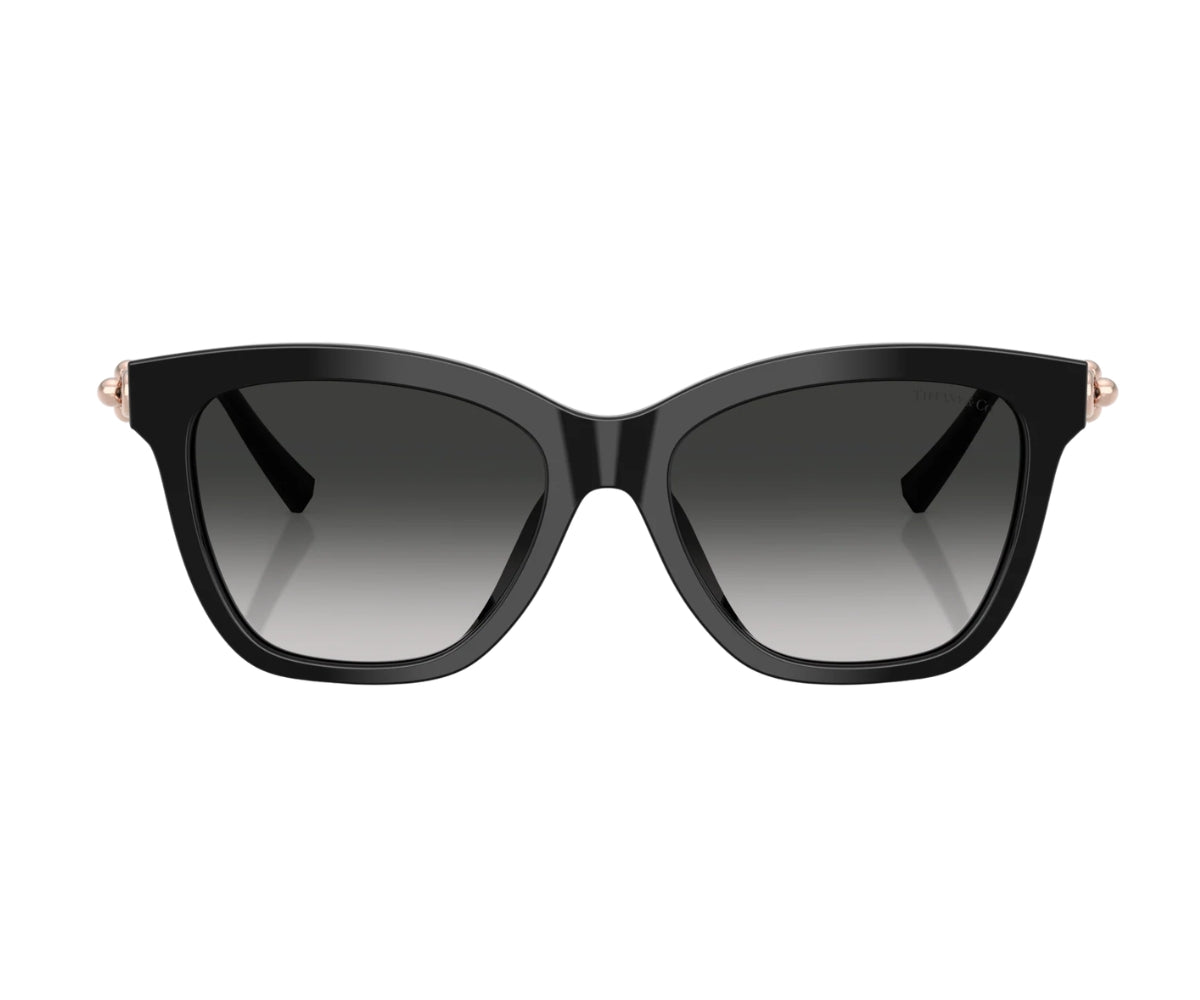 Tiffany & Co._Sunglasses_4241D_8001/3C_54_0