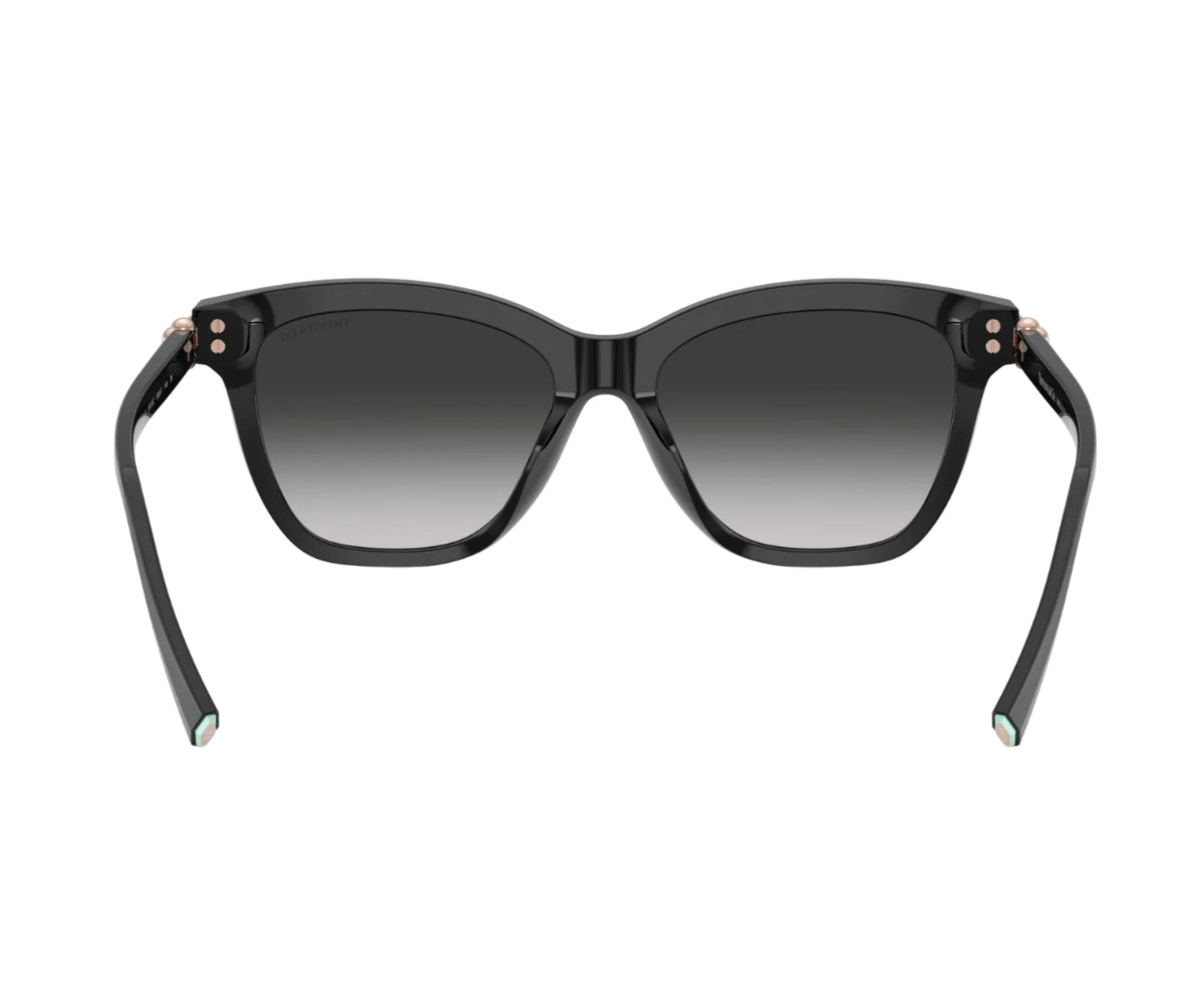 Tiffany & Co._Sunglasses_4241D_8001/3C_54_back lens