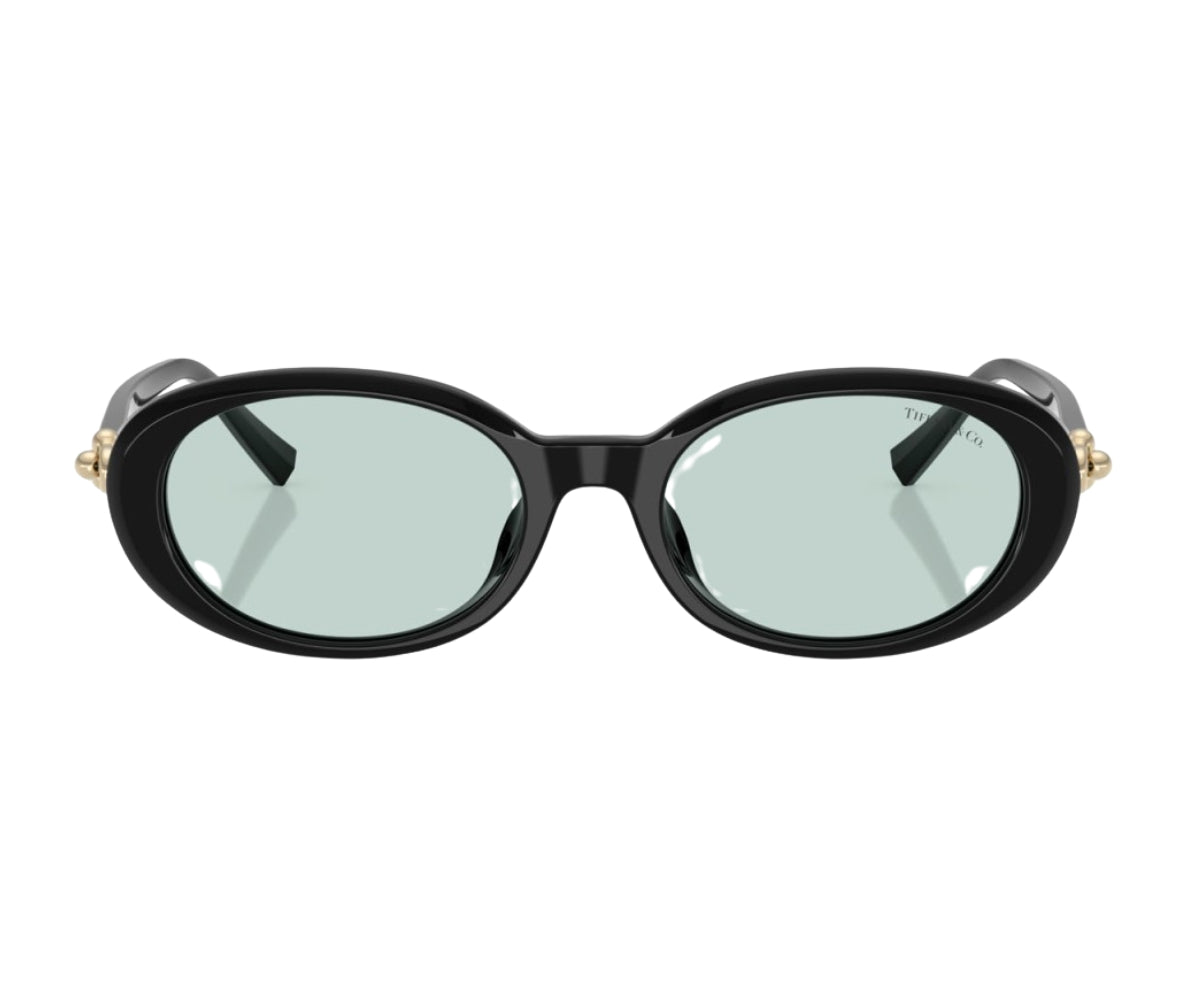 Tiffany & Co._Sunglasses_4242D_8001/D9_54_0