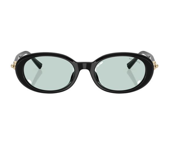 Tiffany & Co._Sunglasses_4242D_8001/D9_54_0