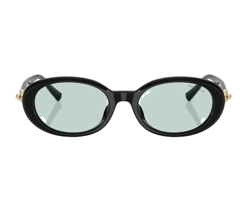 Tiffany & Co._Sunglasses_4242D_8001/D9_54_0