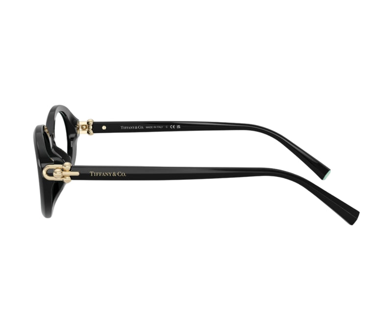 Tiffany & Co._Sunglasses_4242D_8001/D9_54_90