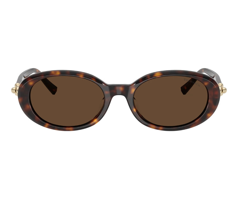 Tiffany & Co._Sunglasses_4242D_8015/3G_54_0