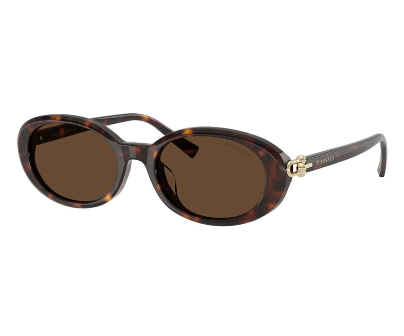 Tiffany & Co._Sunglasses_4242D_8015/3G_54_3045