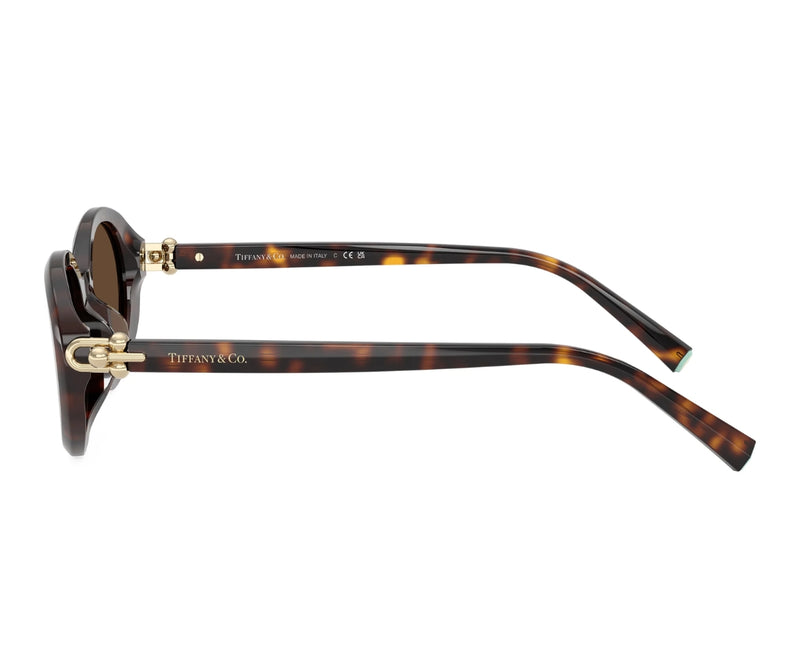Tiffany & Co._Sunglasses_4242D_8015/3G_54_90