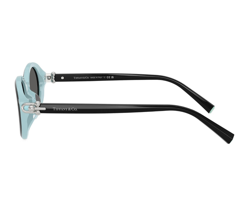 Tiffany & Co._Sunglasses_4242D_8055/S4_54_90