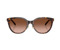Tiffany & Co._Sunglasses_4243D_8015/3B_55_0 view 2