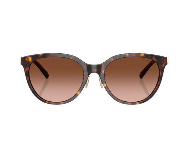 Tiffany & Co._Sunglasses_4243D_8015/3B_55_0