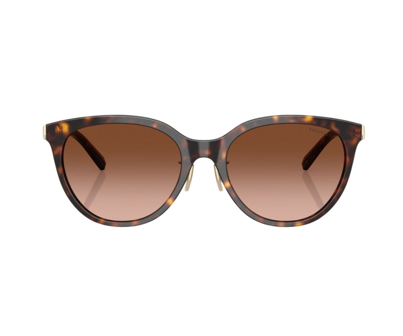Tiffany & Co._Sunglasses_4243D_8015/3B_55_0