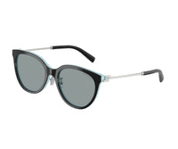 Tiffany & Co._Sunglasses_4243D_8055/1_55_3045 view 1