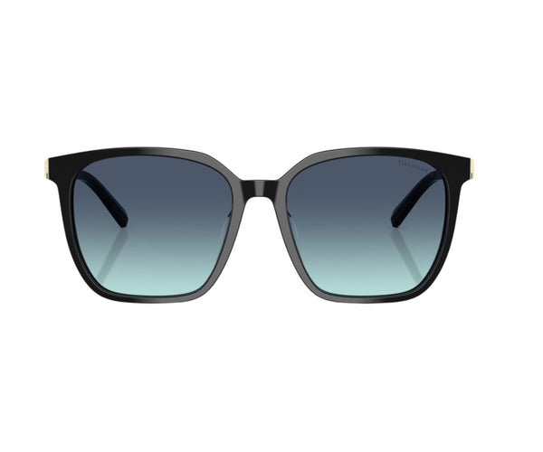Tiffany & Co._Sunglasses_4244D_8001/9S_56_0
