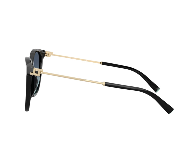 Tiffany & Co._Sunglasses_4244D_8001/9S_56_90
