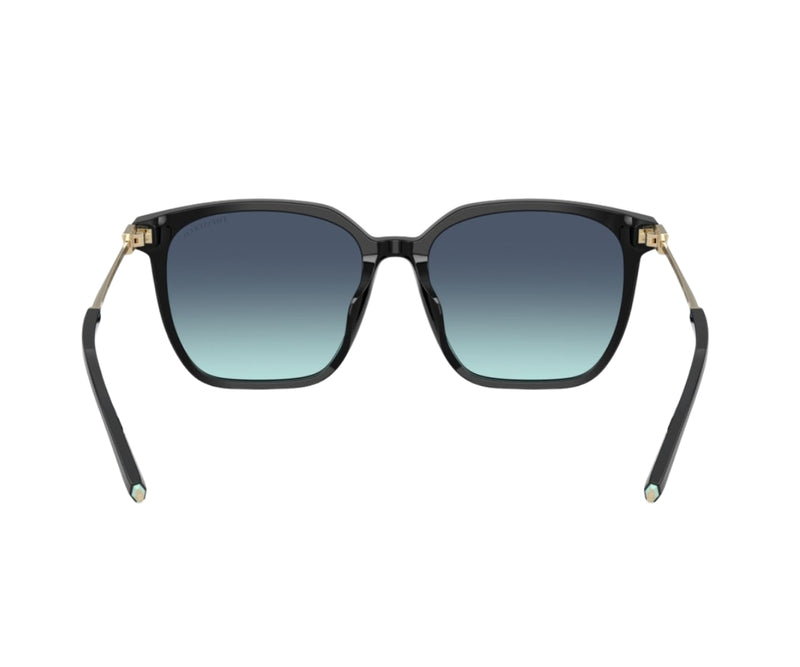 Tiffany & Co._Sunglasses_4244D_8001/9S_56_back lens