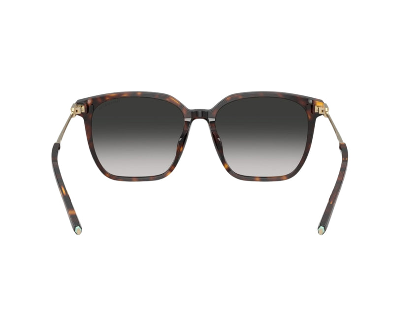 Tiffany & Co._Sunglasses_4244D_8015/3C_56_back lens