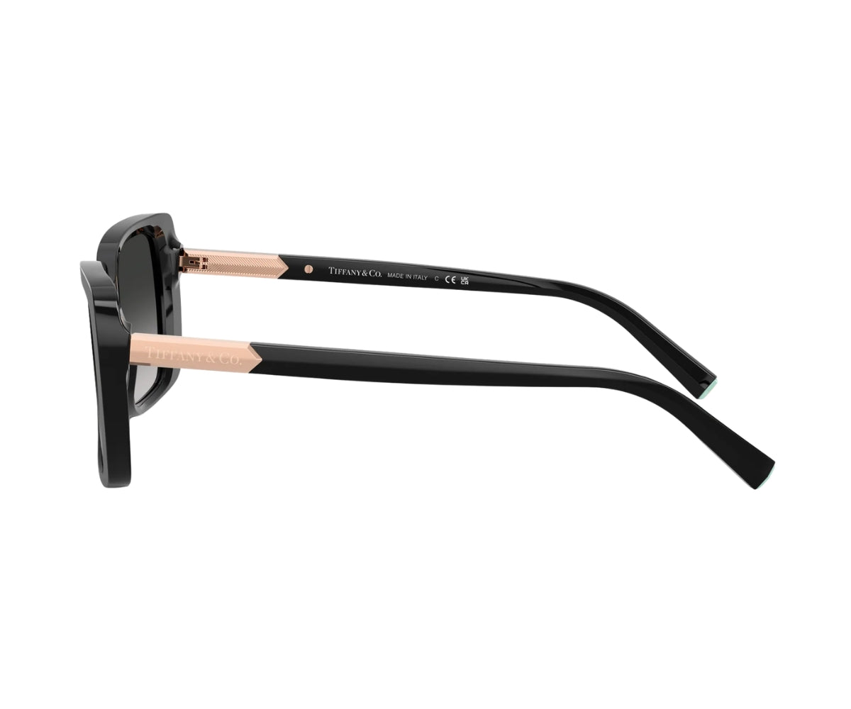 Tiffany & Co._Sunglasses_4249_8001/3C_55_90