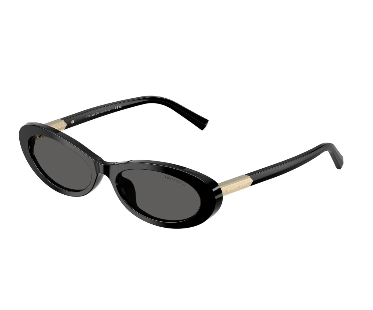Tiffany & Co._Sunglasses_4250_8001/S4_56_3045