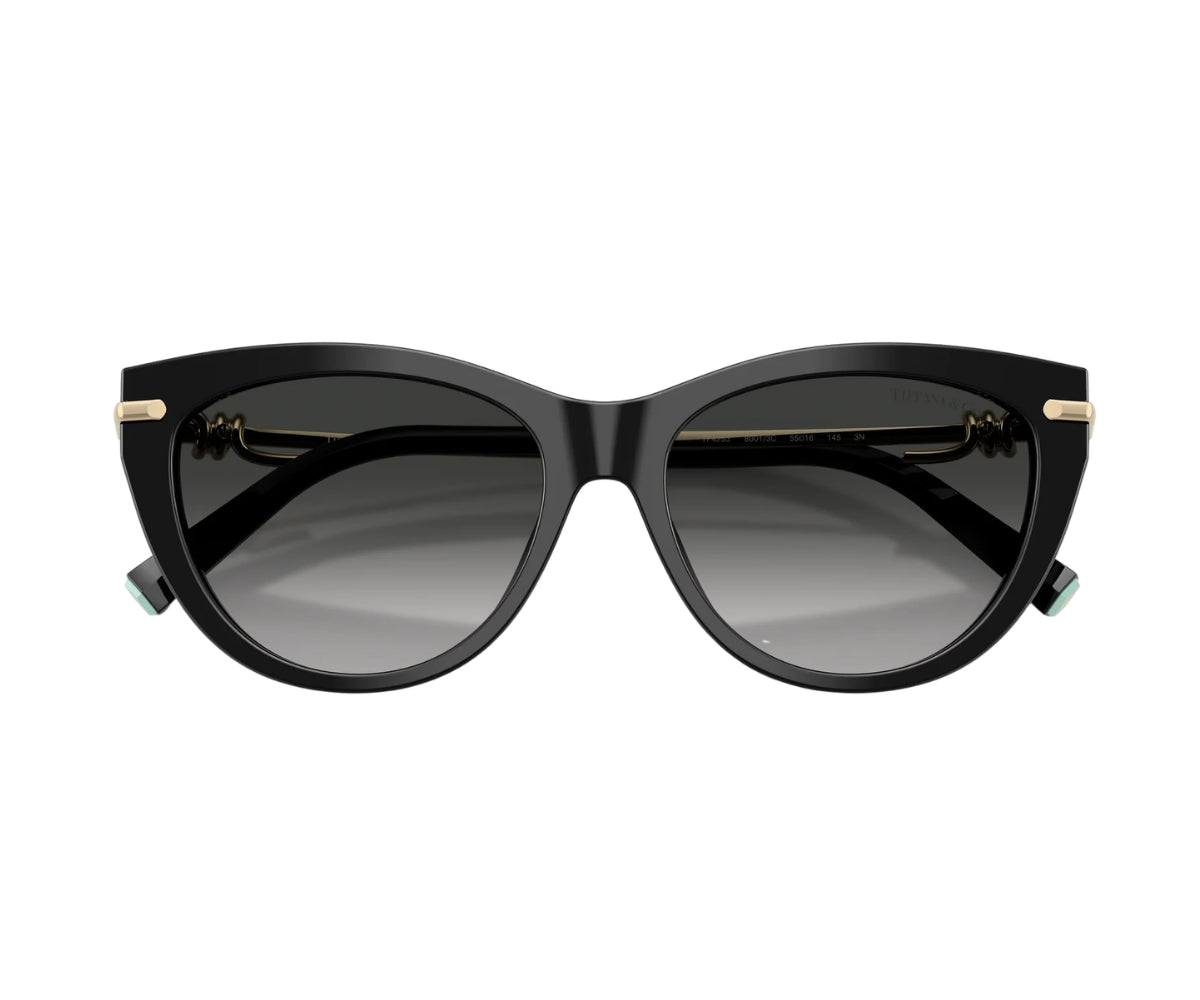 Tiffany & Co._Sunglasses_4253_8001/3C_55_00