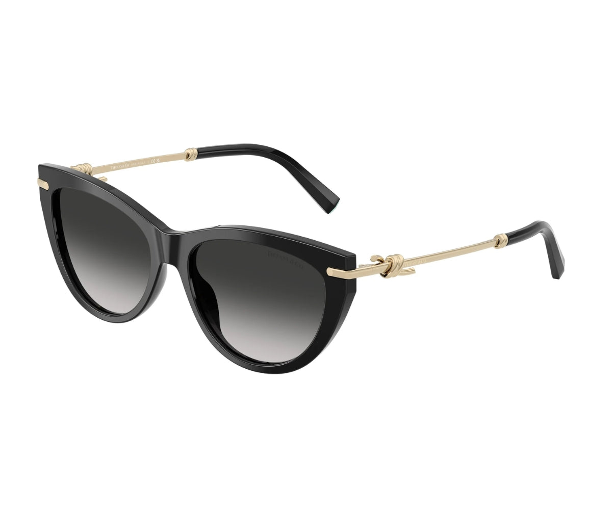 Tiffany & Co._Sunglasses_4253_8001/3C_55_3045