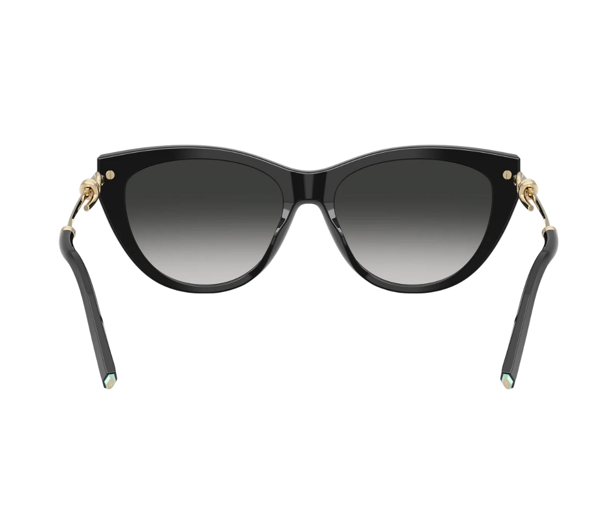 Tiffany & Co._Sunglasses_4253_8001/3C_55_back lens