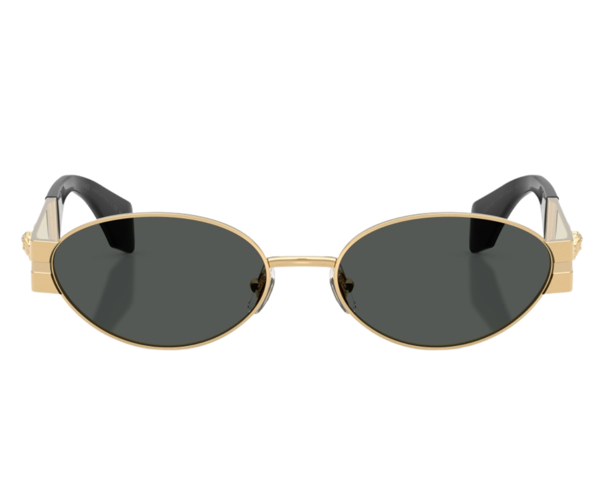 Versace_Sunglasses_VE2301_1523/82_55_00