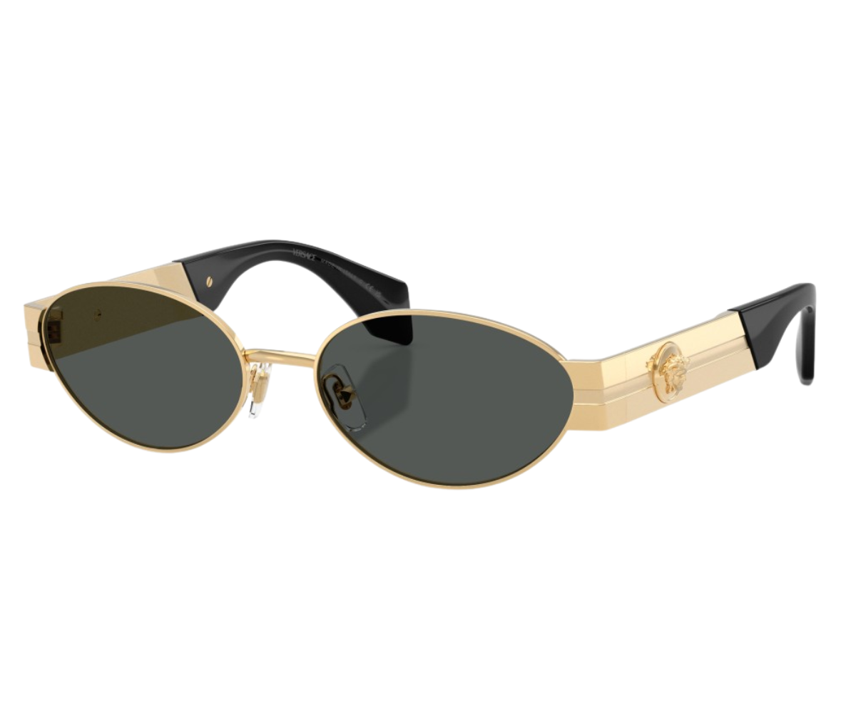 Versace_Sunglasses_VE2301_1523/82_55_45