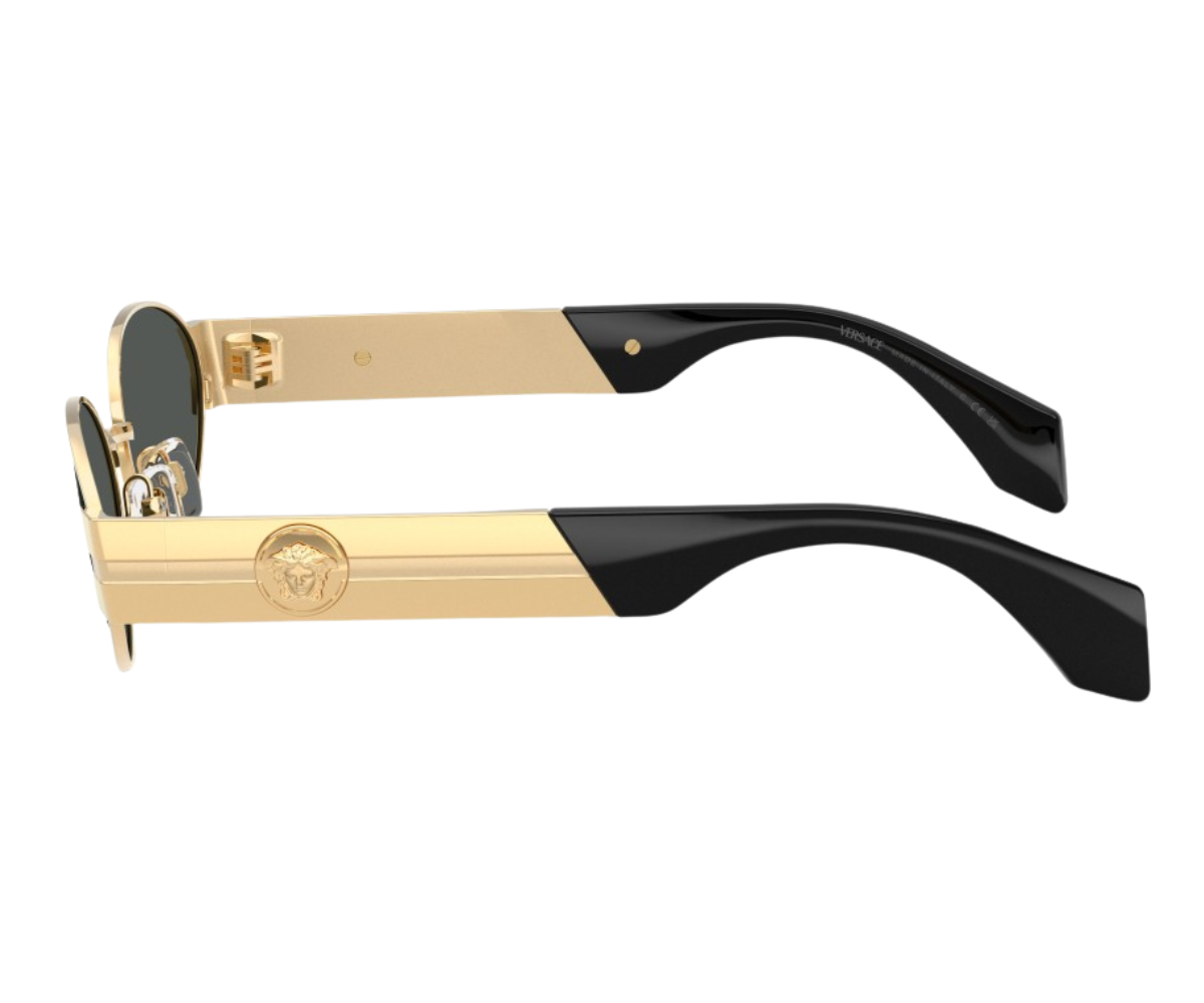 Versace_Sunglasses_VE2301_1523/82_55_90