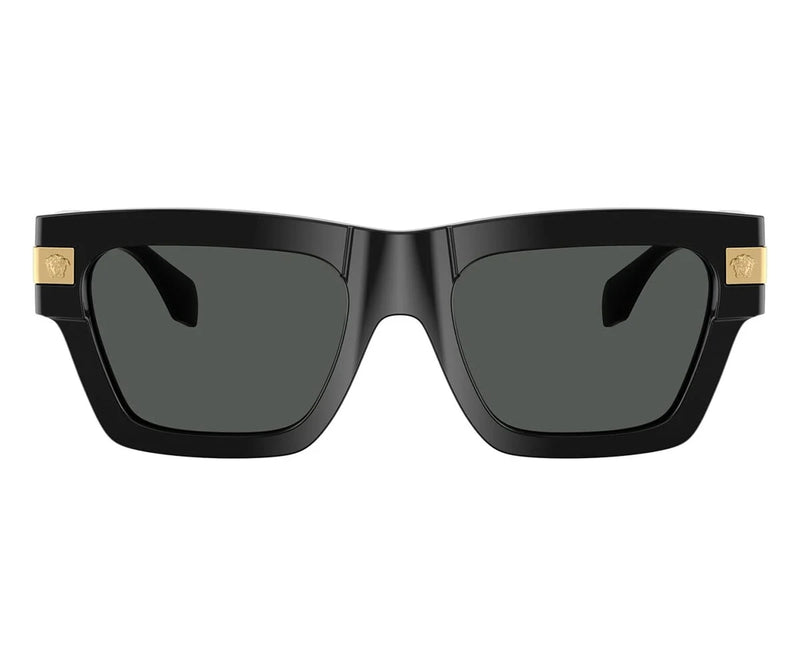 Versace_Sunglasses_4464_GB1/87_55_0