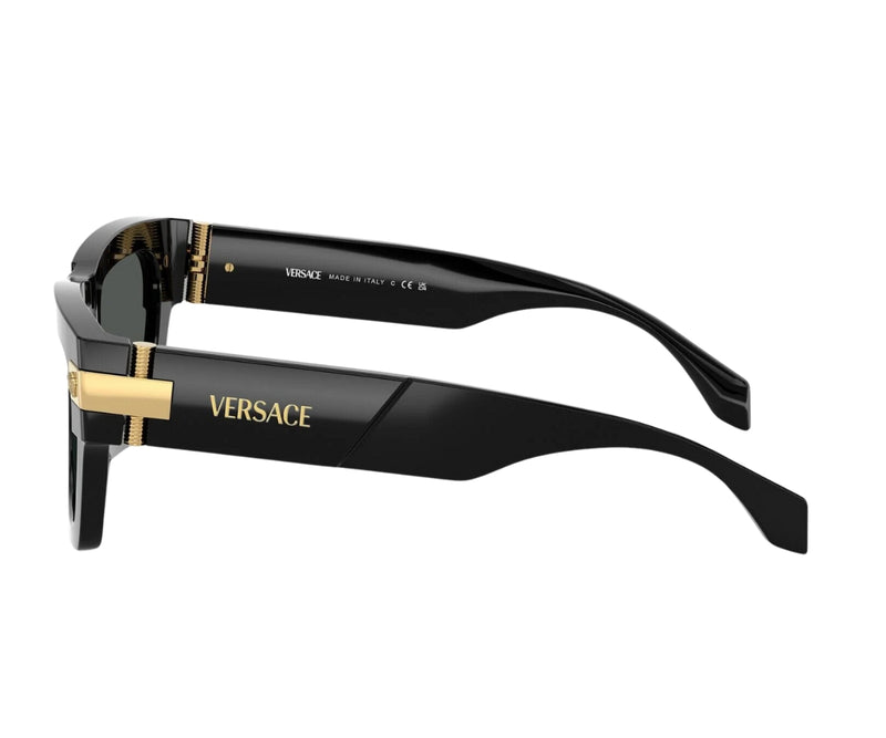 Versace_Sunglasses_4464_GB1/87_55_90