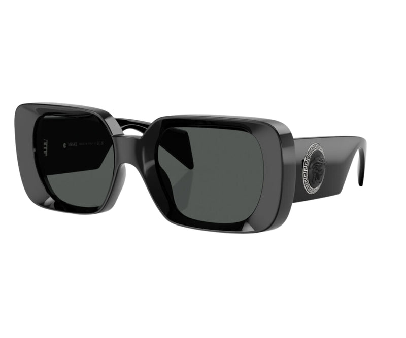 Versace_Sunglasses_4473U_GB1/87_54_3045