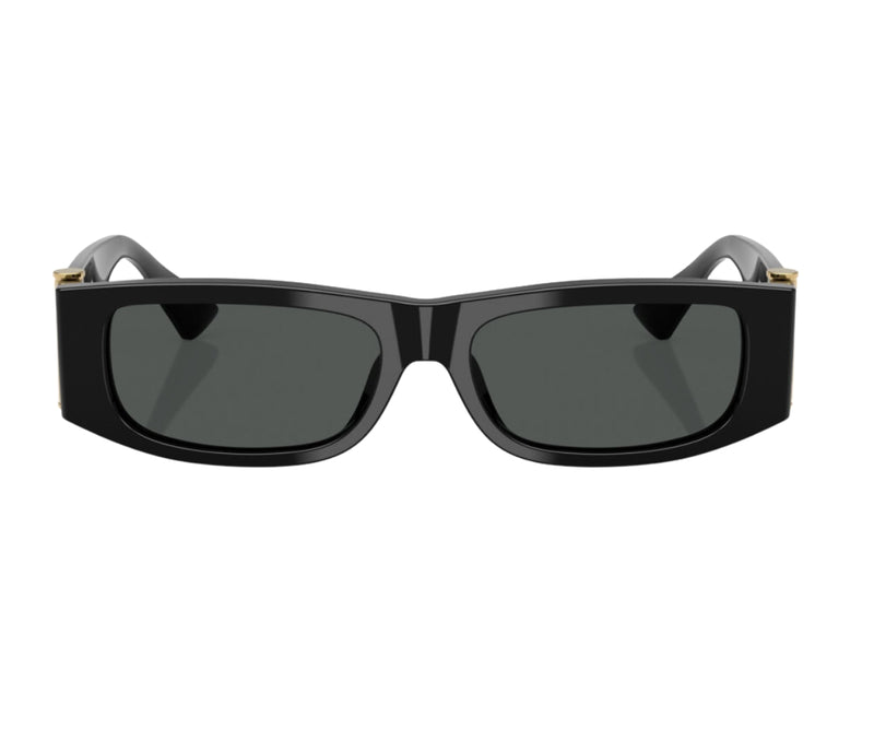 Versace_Sunglasses_4476U_GB1/87_55_0