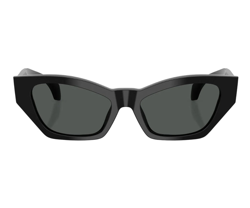 Versace_Sunglasses_4488U_GB1/87_53_0