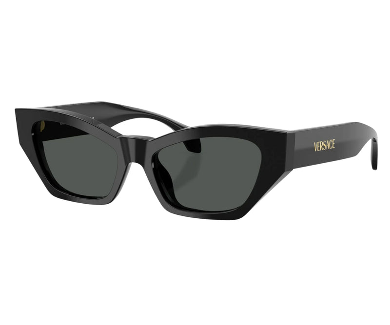 Versace_Sunglasses_4488U_GB1/87_53_3045