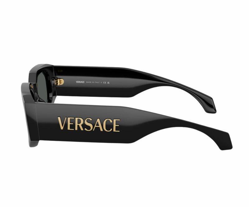 Versace_Sunglasses_4489U_GB1/87_55_90