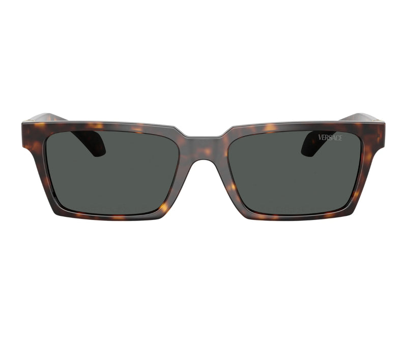 Versace_Sunglasses_4490U_108/87_55_0