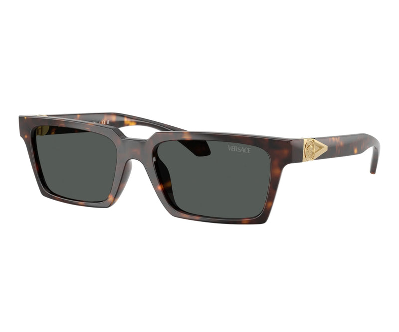 Versace_Sunglasses_4490U_108/87_55_3045