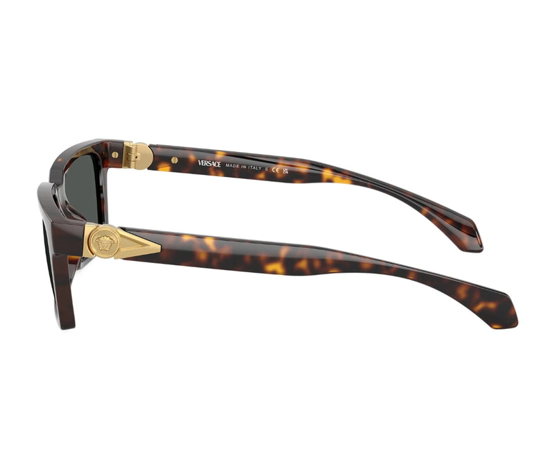 Versace_Sunglasses_4490U_108/87_55_90