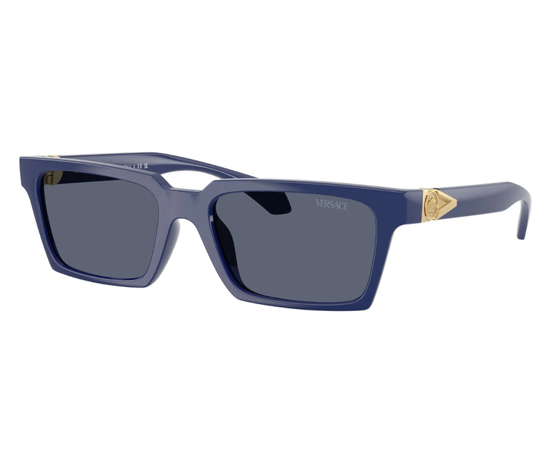 Versace_Sunglasses_4490U_5450/87_55_3045