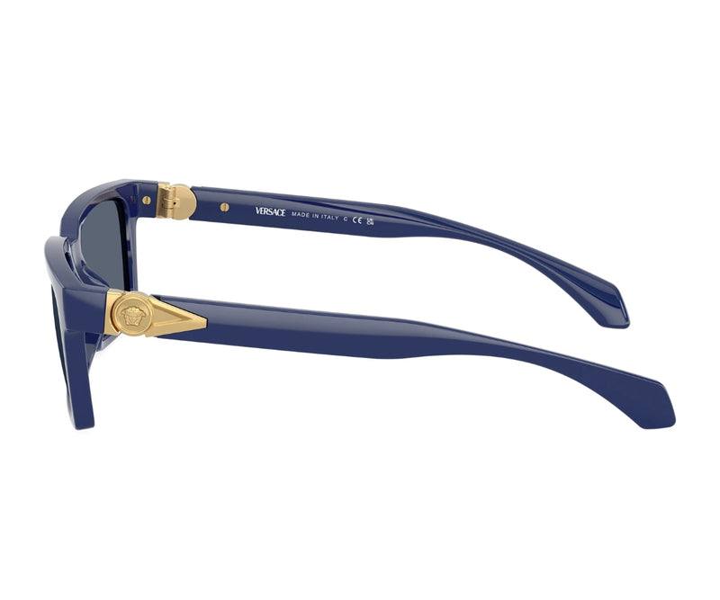 Versace_Sunglasses_4490U_5450/87_55_90