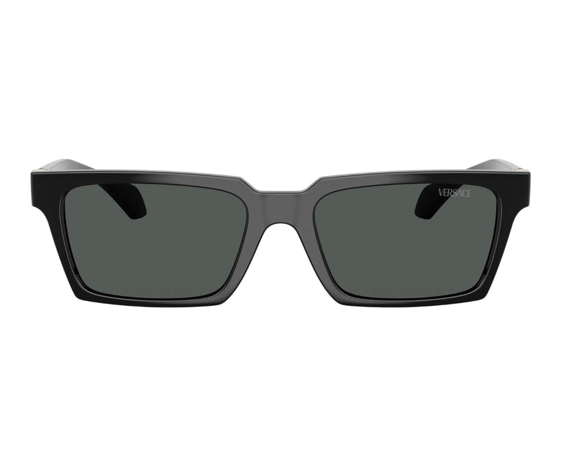 Versace_Sunglasses_4490U_GB1/87_55_0
