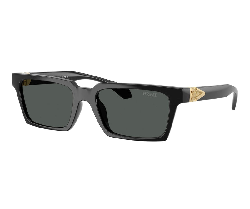 Versace_Sunglasses_4490U_GB1/87_55_3045
