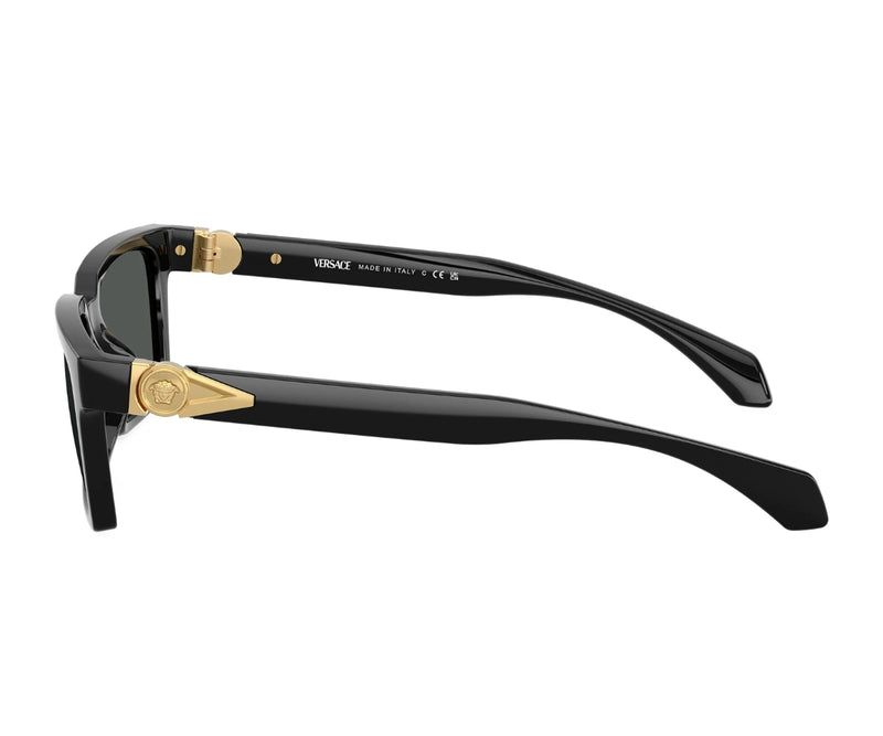 Versace_Sunglasses_4490U_GB1/87_55_90