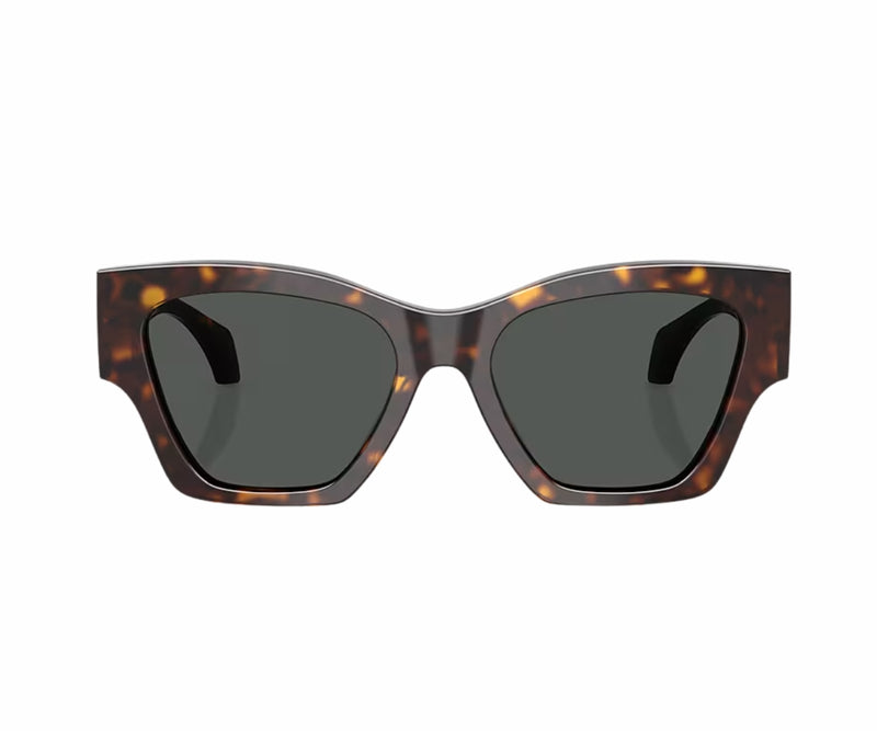 Versace_Sunglasses_4492U_108/87_53_0