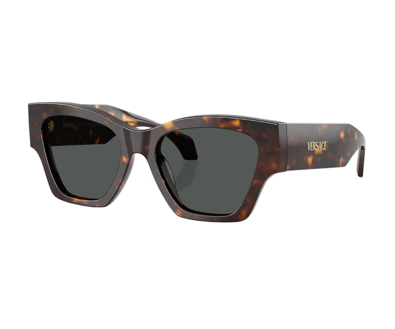 Versace_Sunglasses_4492U_108/87_53_3045