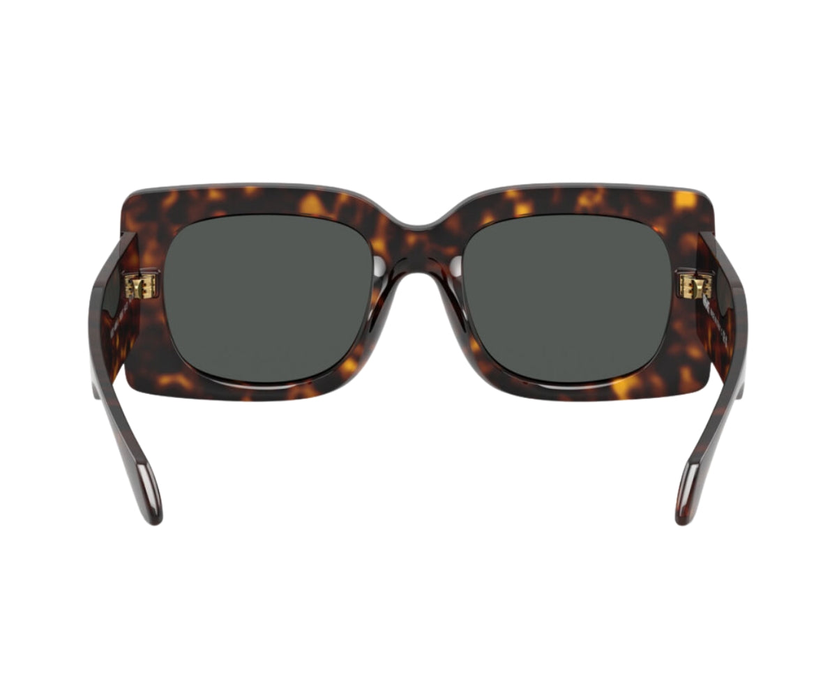 Versace_Sunglasses_4496U_108/87_54_back lens