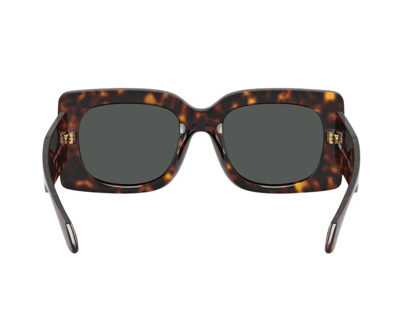 Versace_Sunglasses_4496U_108/87_54_back lens