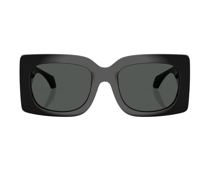 Versace_Sunglasses_4496U_GB1/87_54_0