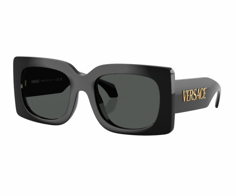 Versace_Sunglasses_4496U_GB1/87_54_3045